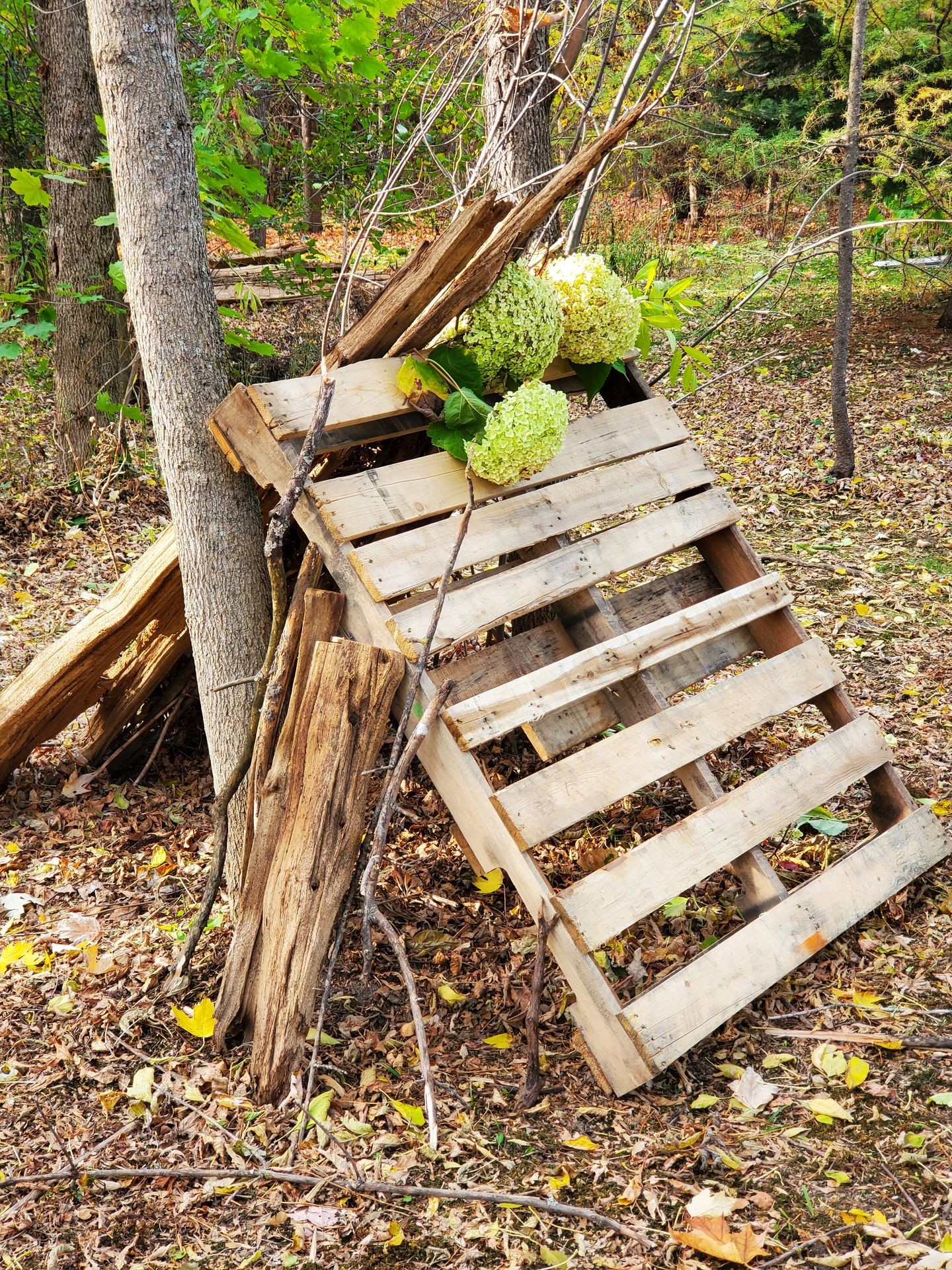 Therapeutic Release (TRS)