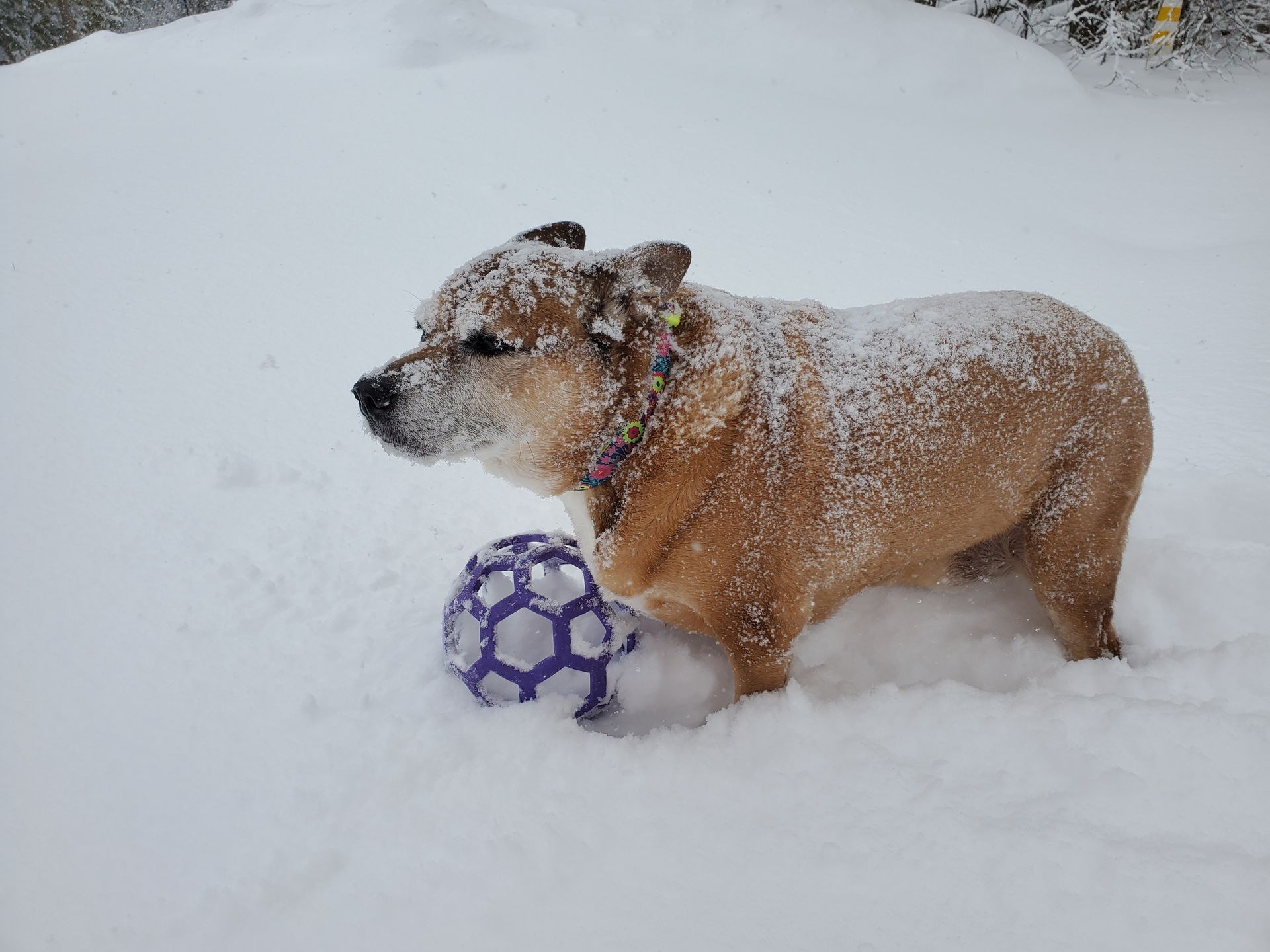 Monthly Coaching & Counselling Package